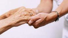Solidariet